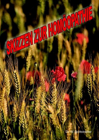 Skizzen zur Homoeopathie - Wulf Splittstoeßer