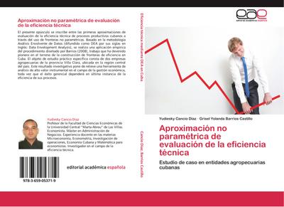 Aproximación no paramétrica de evaluación de la eficiencia técnica