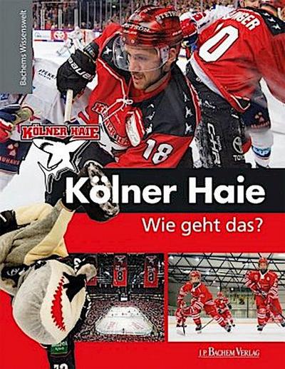 Kölner Haie - Wie geht das?