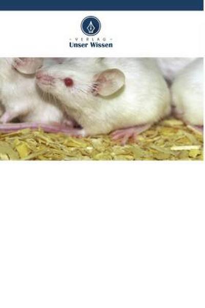 Auswirkungen einer Natriumfluorid- und Aminosäure-Supplementierung auf die Hoden