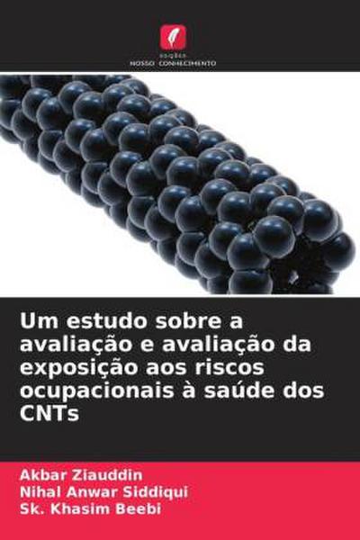 Um estudo sobre a avaliação e avaliação da exposição aos riscos ocupacionais à saúde dos CNTs