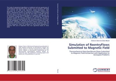 Simulation of ReentryFlows Submitted to Magnetic Field