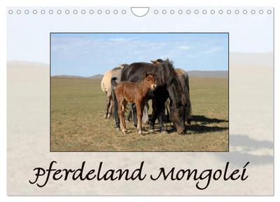 Pferdeland Mongolei (Wandkalender 2025 DIN A4 quer), CALVENDO Monatskalender