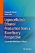 Lignocellulosic Ethanol Production from a Biorefinery Perspective