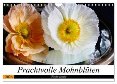 Prachtvolle Mohnblüten (Wandkalender 2026 DIN A4 quer), CALVENDO Monatskalender
