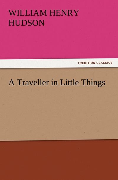 A Traveller in Little Things