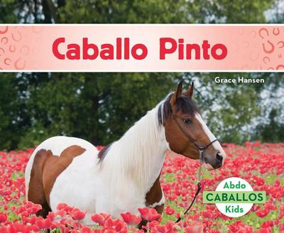 Caballo Pinto (American Paint Horses)