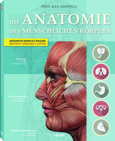 Die Anatomie des menschlichen Körpers
