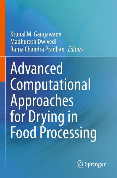 Advanced Computational Approaches for Drying in Food Processing