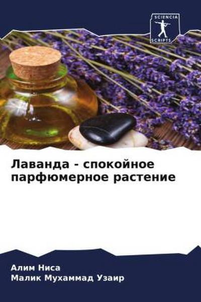 Lawanda - spokojnoe parfümernoe rastenie