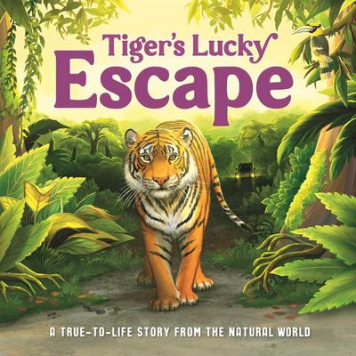Tiger’s Lucky Escape