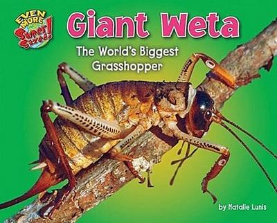 Giant Weta