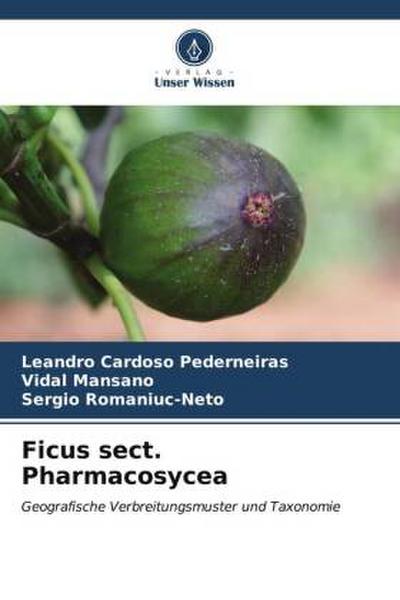 Ficus sect. Pharmacosycea