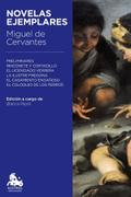 Novelas ejemplares ("Austral Educación")