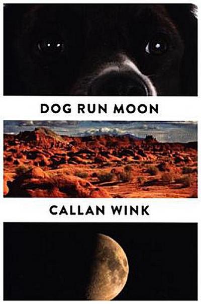 Dog Run Moon