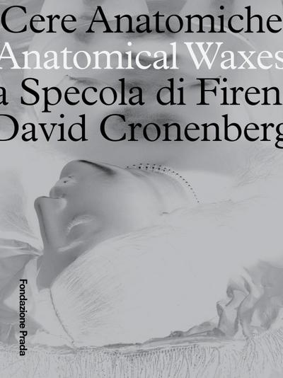 Anatomical Waxes