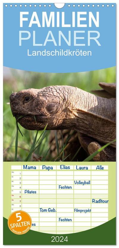 Familienplaner 2024 - Landschildkröten mit 5 Spalten (Wandkalender, 21 x 45 cm) CALVENDO