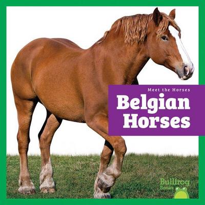 Belgian Horses