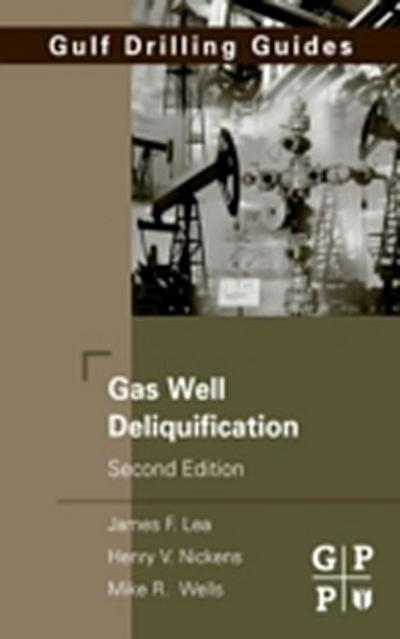 Gas Well Deliquification