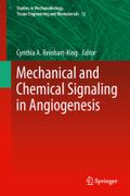 Mechanical and Chemical Signaling in Angiogenesis (Studies in Mechanobiology, Tissue Engineering and Biomaterials, 12)
