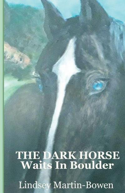 The Dark Horse Waits in Boulder