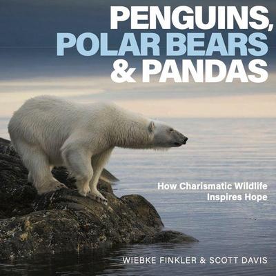 Penguins, Polar Bears and Pandas