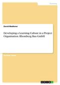 Developing a Learning Culture in a Project Organis
