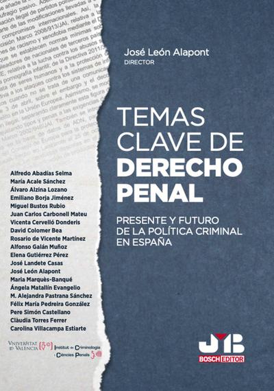 Temas clave de Derecho penal