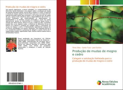 Produção de mudas de mogno e cedro