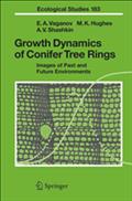 Growth Dynamics of Conifer Tree Rings