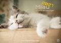 Miau - Unsere Stubentiger - Der Katzenkalender 2027