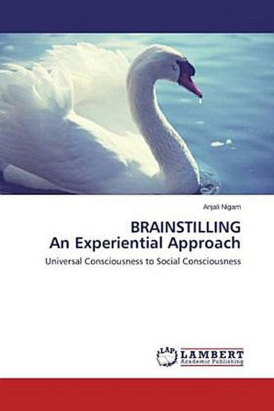 BRAINSTILLING An Experiential Approach