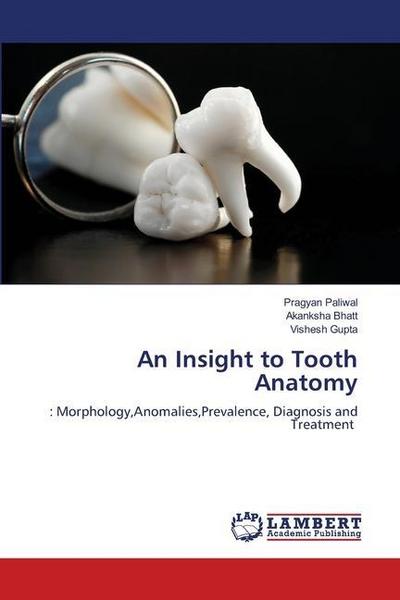 An Insight to Tooth Anatomy