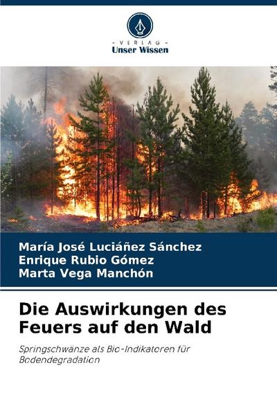 Die Auswirkungen des Feuers auf den Wald