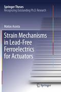 Strain Mechanisms in Lead-Free Ferroelectrics for Actuators