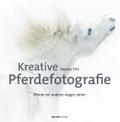 Kreative Pferdefotografie