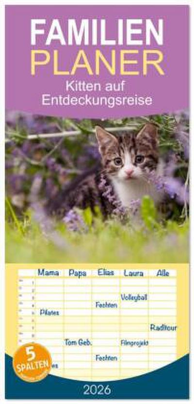 Familienplaner 2026 - Kitten auf Entdeckungsreise mit 5 Spalten (Wandkalender, 21 x 45 cm) CALVENDO