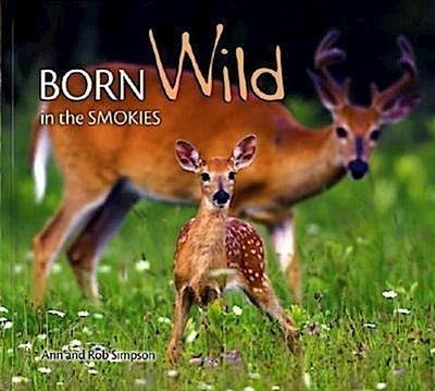 Born Wild in the Smokies