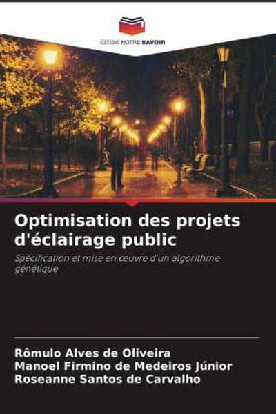 Optimisation des projets d’éclairage public