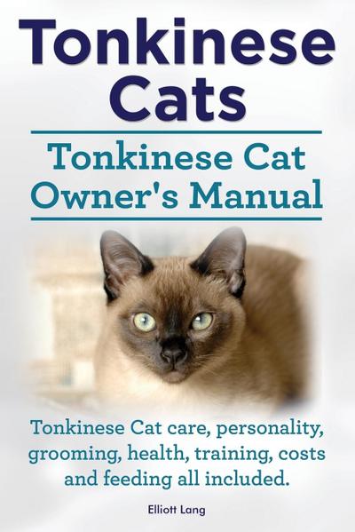 TONKINESE CATS TONKINESE CAT O