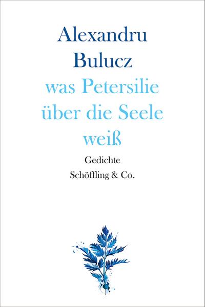 was Petersilie über die Seele weiß