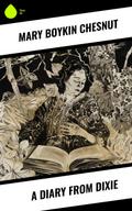 A Diary From Dixie