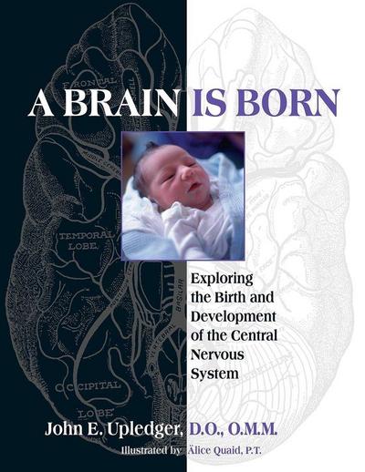 A Brain Is Born