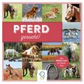 Pferd gesucht!