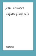 singulär plural sein