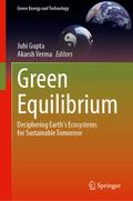 Green Equilibrium
