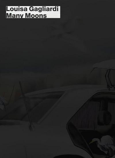 Louisa Gagliardi: Many Moons