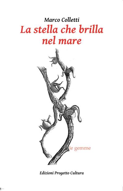 La stella che brilla nel mare