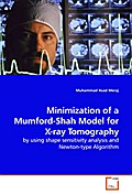 Minimization of a Mumford-Shah Model for X-ray Tom