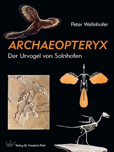Archaeopteryx